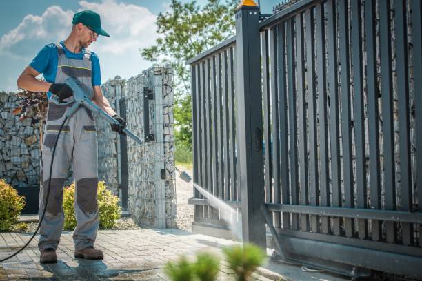 Best Rust Removal  in Renovo, PA