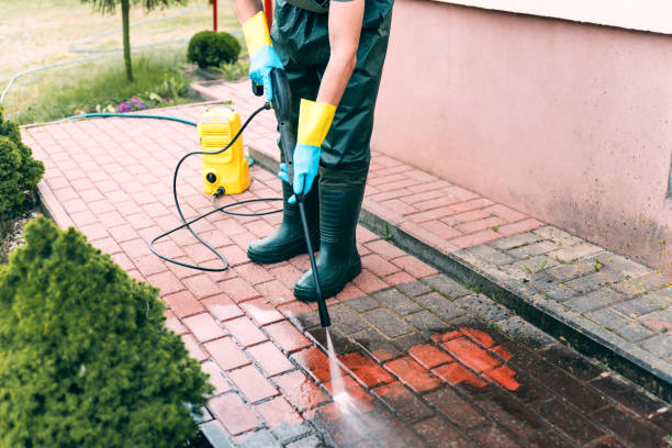 Best Graffiti Removal  in Renovo, PA