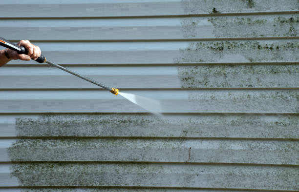 Best Driveway Pressure Washing  in Renovo, PA