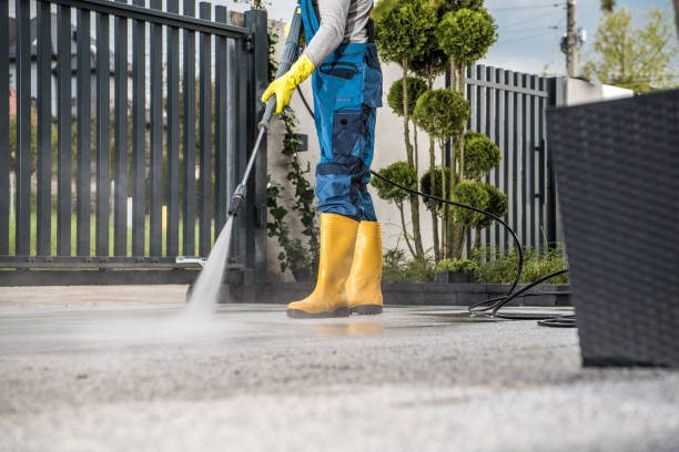 Animal Enclosure Cleaning in Renovo, PA
