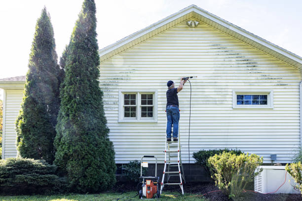 Best Roof Washing  in Renovo, PA